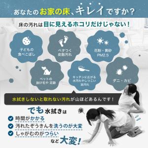 水拭き掃除機 アクアエックス ニッポンめしあが...の詳細画像2