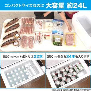 セカンド冷凍・冷蔵庫 エコ じゅん散歩 テレビ...の詳細画像2