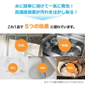 酸素系漂白除菌洗浄剤ファイブクリーン2個セット...の詳細画像2