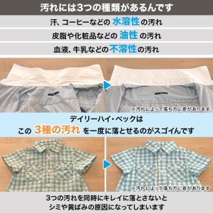 デイリー ハイ・ベック 特別セット じゅん散歩...の詳細画像2