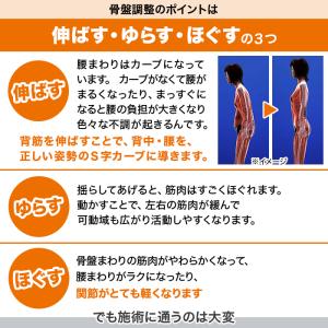 スッキリ骨盤シェイプ枕 じゅん散歩 テレビ朝日...の詳細画像3
