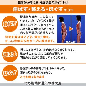 スッキリ骨盤シェイプ枕 じゅん散歩 テレビ朝日...の詳細画像2