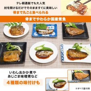 骨までやわらか煮魚 24食特別セット ニッポン...の詳細画像1