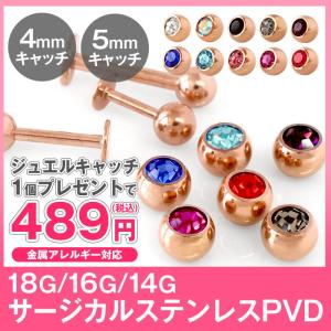 軟骨ピアス 18G 16G 14G ボディピアス...の商品画像