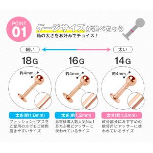 軟骨ピアス 18G 16G 14G ボディピア...の詳細画像5