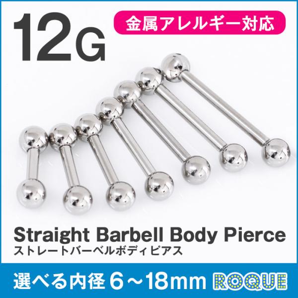 ストレートバーベル 12G  ボディピアス シルバー 定番 シンプル(1個売り)(オマケ革命)