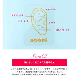 (片耳用)フィッティングカード スタイリング ...の詳細画像4
