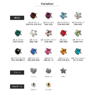 (医療用ステンレス)ピアッサー 耳たぶ用 16...の詳細画像2