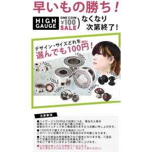 ホール プラグ トンネル リング ボディピアス...の詳細画像1