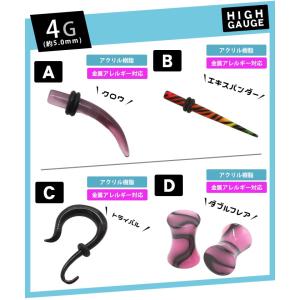 ホール プラグ トンネル リング ボディピアス...の詳細画像4