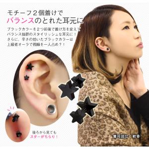 軟骨ピアス 18G 16G 14G ボディピア...の詳細画像2