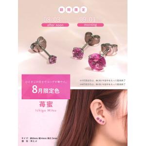(2個売り・両耳用)可愛いピアス サージカルス...の詳細画像1
