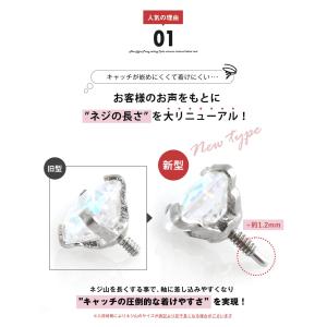 (2個セット)(新タイプ)立爪CZインターナル...の詳細画像3