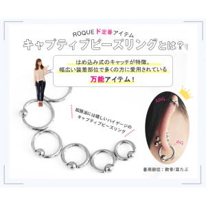 キャプティブ リング ボディピアス 10G シ...の詳細画像1