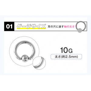キャプティブ リング ボディピアス 10G シ...の詳細画像3