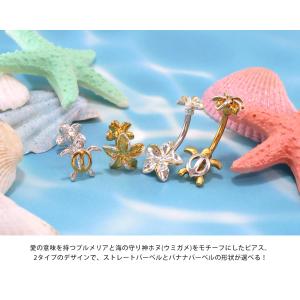 ボディピアス 18G 16G 14G ストレー...の詳細画像1