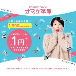 ボディピアス 18G 16G 14G 対象商品...の詳細画像1