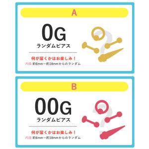 ボディピアス 18G 16G 14G 対象商品...の詳細画像5