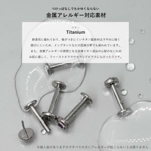 チタン ピアス スワロフスキー プッシュタイプ...の詳細画像5