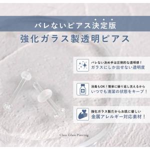 (5個セット) 透明ピアス 強化ガラス リテー...の詳細画像4