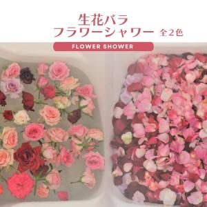 フラワーシャワー　生花　花びら　結婚式　披露宴　ローズシャワー　バラ　薔薇　プロポーズ