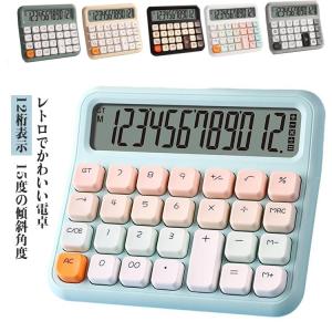 ポケット電卓コレクターズガイド レトロ電卓 LED電卓 LCD ポケット電卓コレクターズガイド レトロ電卓 LED電卓 LCD