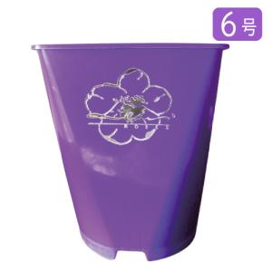 ６号プラスチック角鉢　パープル　１個｜rose-m
