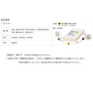 168トレインシールワッペン シール・アイロン...の詳細画像3
