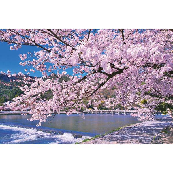 1000ピース ジグソーパズル 嵐山染める満開桜(京都) (50x75cm)