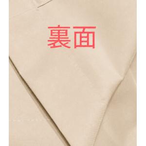 小窓用 風呂窓 洗面窓のシャワーカーテン幅40...の詳細画像2