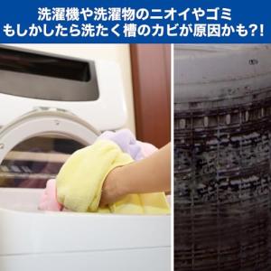洗浄力 シュワッと 洗濯槽クリーナー 【4回分...の詳細画像4