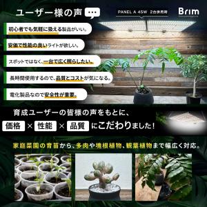 【公式】BRIM(ブリム) PANEL A 植...の詳細画像2