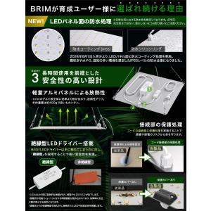 【公式】BRIM(ブリム) PANEL A 植...の詳細画像5