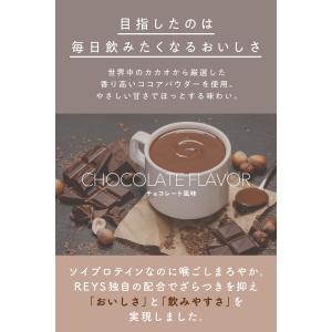 REYS レイズ ソイ プロテイン 山澤 礼明...の詳細画像2