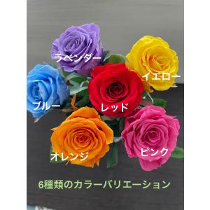 【ブラックボックス・薔薇(バラ)一輪】 誕生日...の詳細画像2