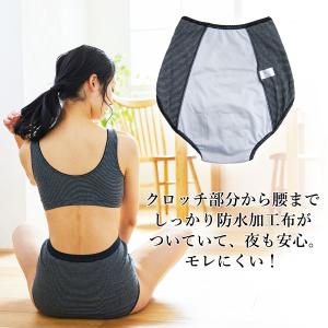 産褥ショーツ マタニティ 3枚組 綿100% ...の詳細画像3