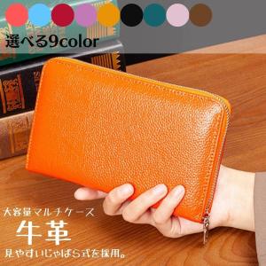 マルチケース 家計管理 通帳ケース 磁気防止 ジャバラ