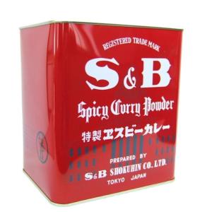 S&B Spicy Curry Powder 特製 エスビーカレー 2kg SB カレー カレー粉