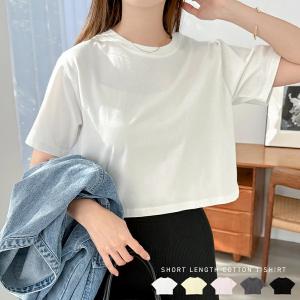 ショート丈 コットン 半袖 Tシャツ レディース 半袖Tシャツ ミニTシャツ カットソー 体型 二の腕カバー オーバーサイズ ゆったり フレンチスリーブ mail t05