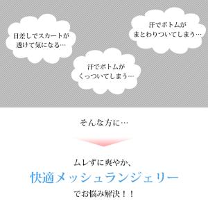 メッシュランジェリー 日本製 ペチコート パン...の詳細画像1