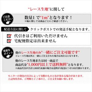 ストレッチ レース生地 ブラック 幅80mm ...の詳細画像1