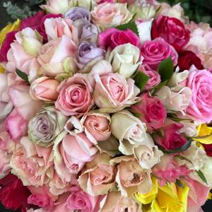 短めバラ 《切り花 生花 》おまかせMIX 2...の詳細画像5
