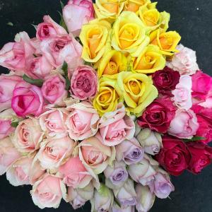 農園直送!!(バラ・切り花・生花)おまかせMI...の詳細画像1