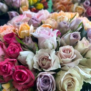 農園直送!(バラ・切り花・生花)おまかせミック...の詳細画像1