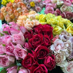 農園直送!(バラ・切り花・生花)おまかせミック...の詳細画像2