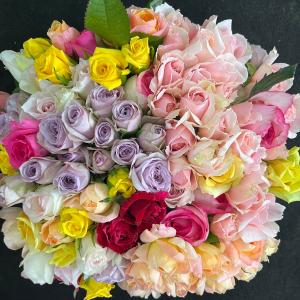数量限定!!バラ・B品 (切り花・生花)30c...の詳細画像4