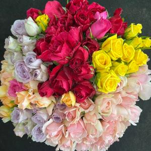 数量限定!!バラ・B品 (切り花・生花)30c...の詳細画像5