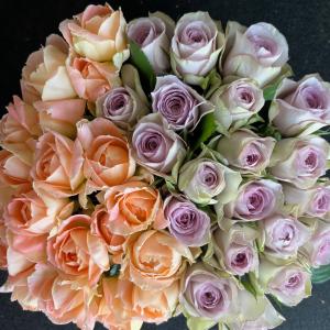 オレンジ&パープルのハーフミックス 30センチ...の詳細画像4