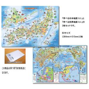 日本の地図と建造物や特産品 偉人などの資料が入ったオシャレなデザイン 日本地図下敷きa4サイズ 新品 日本地図 下敷き 名産 Vrm Mx