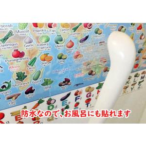 「でんしゃとにほんちず オフロ用ミニ」【ポスタ...の詳細画像2